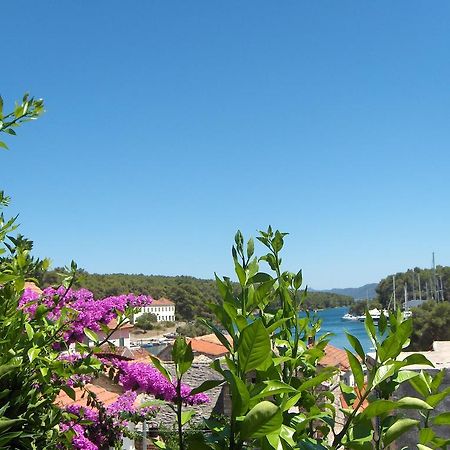 Guest House Roza Vrboska Chambre photo
