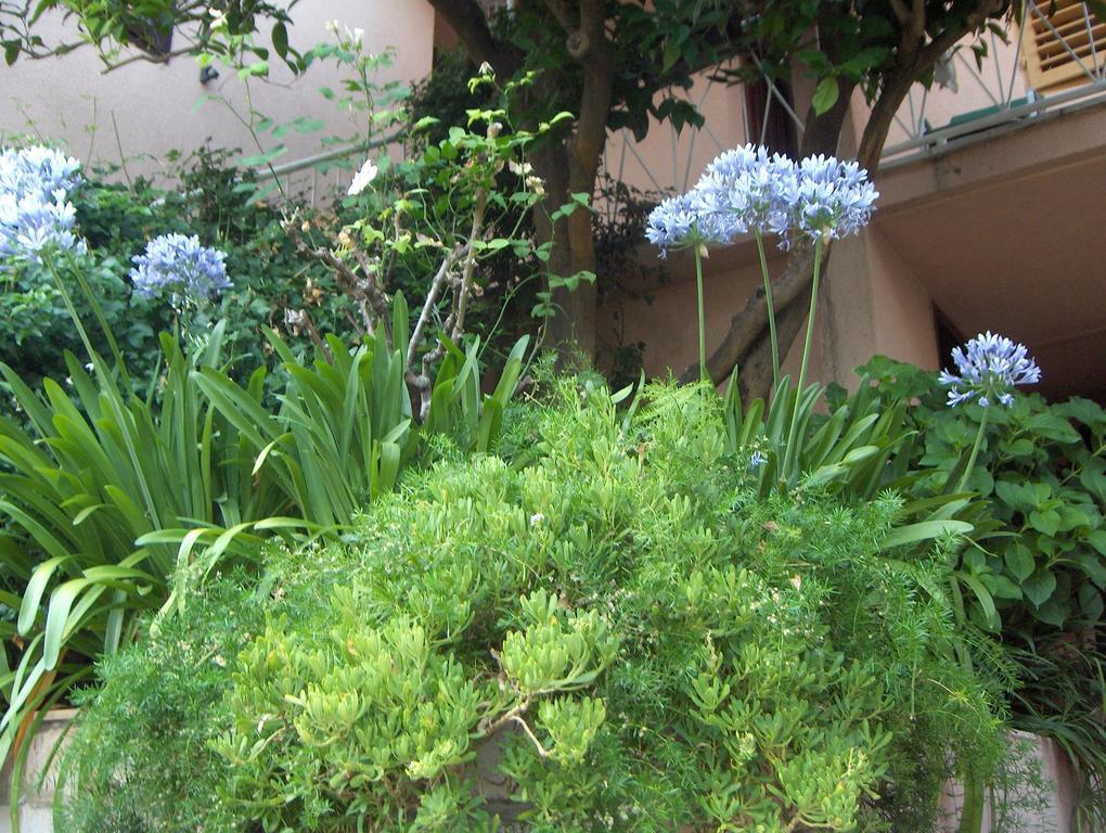Guest House Roza Vrboska Chambre photo
