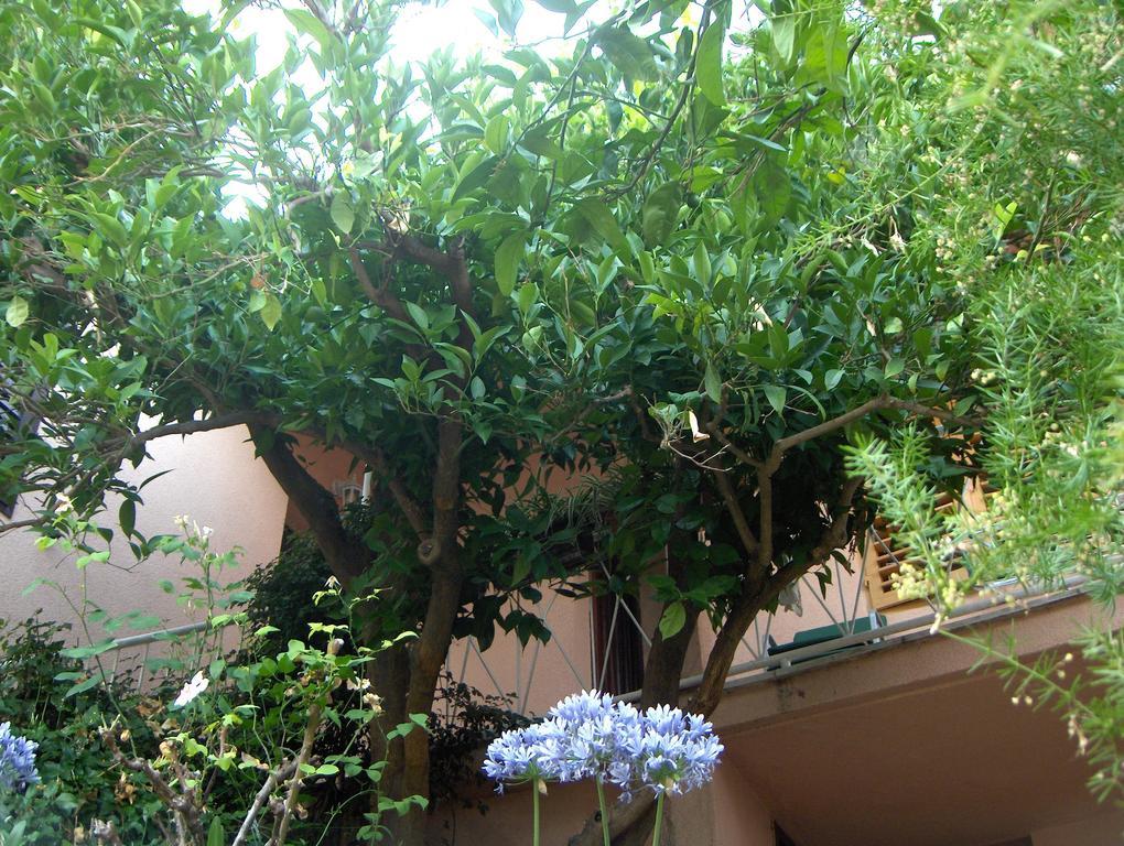 Guest House Roza Vrboska Chambre photo
