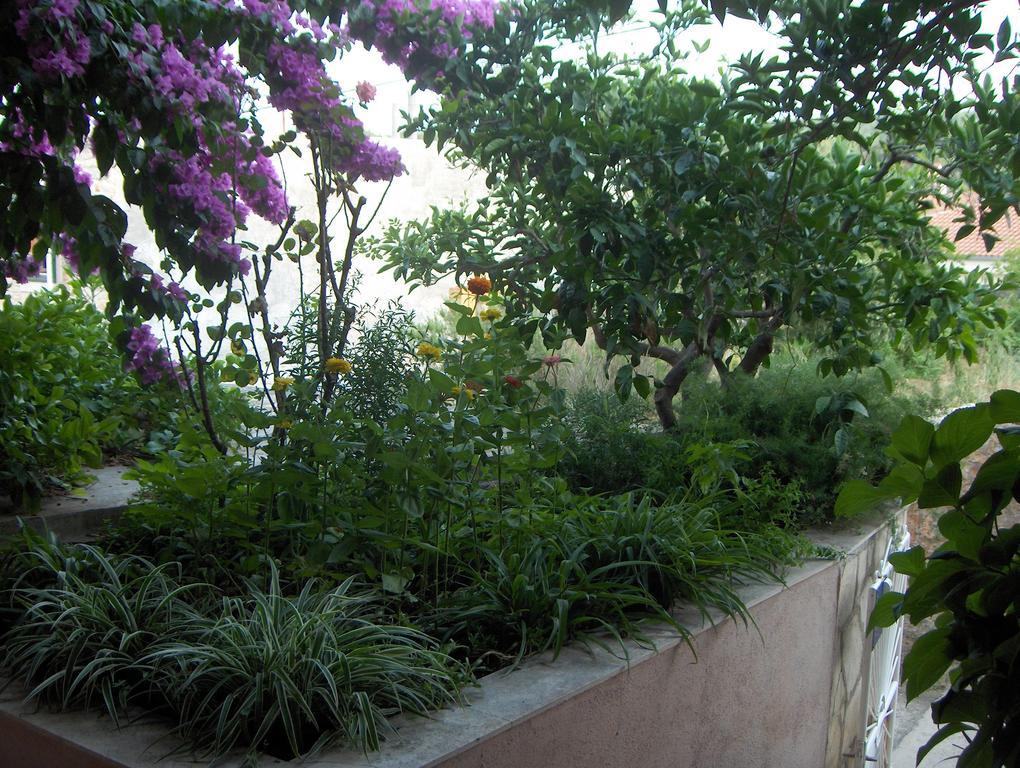 Guest House Roza Vrboska Chambre photo